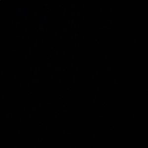 Meet your Posher, Maury